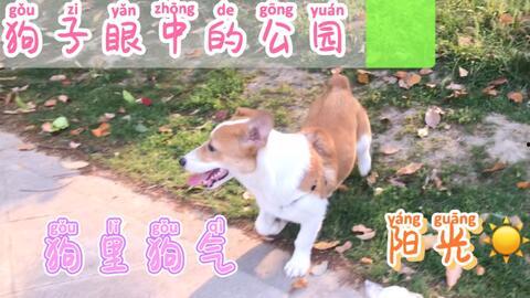 天天吃瓜网怎么打不开了,揭秘网站关闭背后的真相