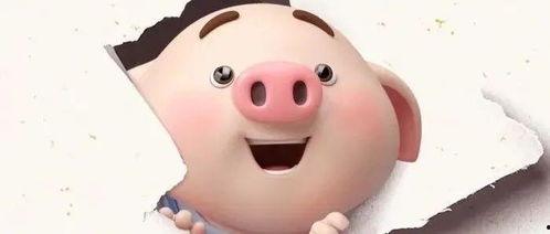 抖音网红粉色的猪吃瓜