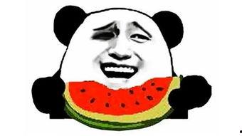 吃瓜网回家最新,回家背后的故事与真相