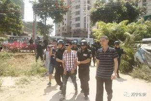 高密砍人 吃瓜网,吃瓜群众热议网络热点