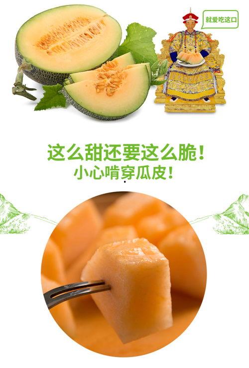 吃瓜推荐网,吃瓜推荐网带你尝遍人间美味