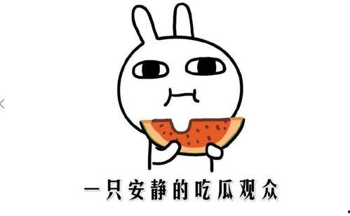 最新热门事件吃瓜吃瓜网,吃瓜群众视角下的真相追踪