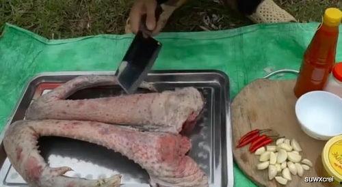 快手网红吃瓜群最新动态