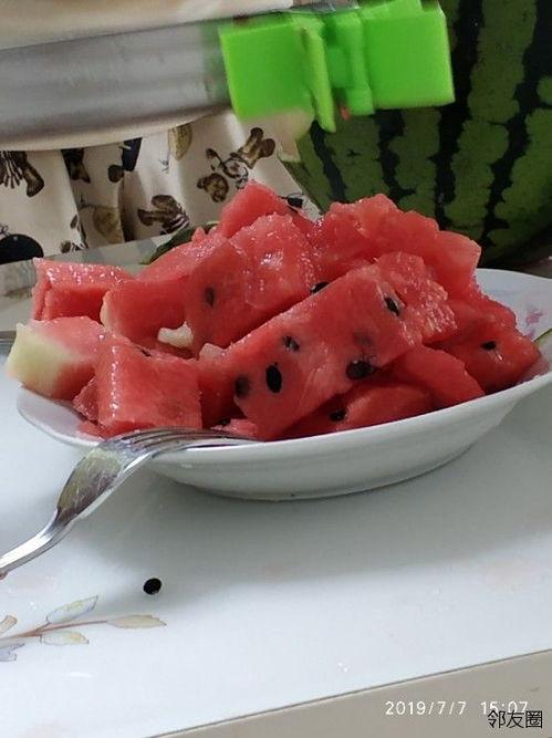 网红爆款吃瓜神器下载安装