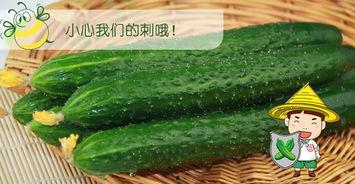 六点吃瓜网,揭秘娱乐圈最新热点，带你畅游八卦世界