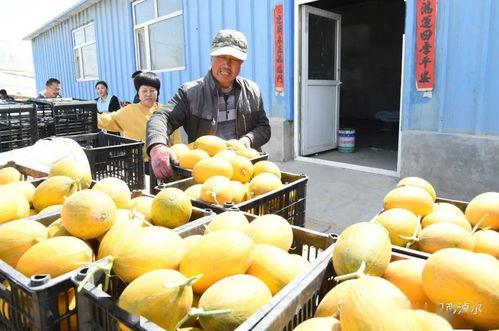 早期网红吃瓜,揭秘网络红人幕后故事