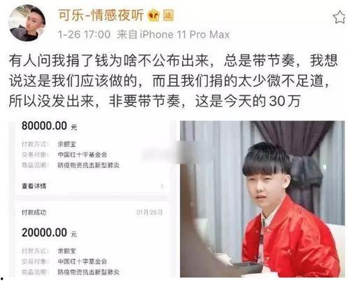 最新吃瓜网红捐款事件真相,真相背后的人性与责任