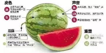 阳江网红吃瓜群微信