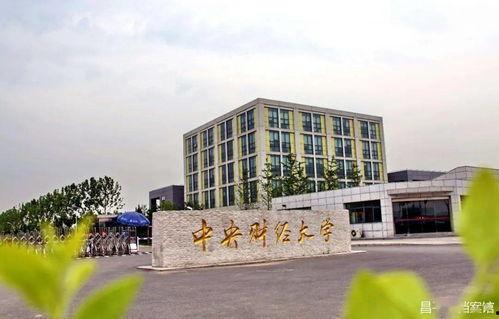 中央财经大学网课吃瓜,揭秘网课中的“吃瓜”事件
