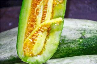 网红的瓜在线吃,跟随“瓜”的脚步，在线品尝娱乐圈新鲜事