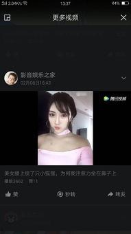 快手网红各种吃瓜网站,揭秘快手网红与吃瓜网站背后的娱乐风云