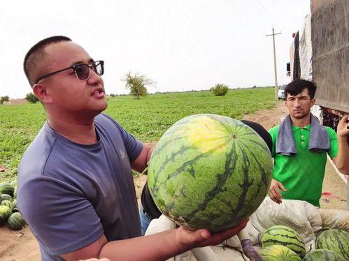 最新吃瓜事件南宁新闻网