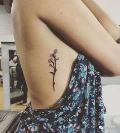 网红吃瓜纹身美女,网红吃瓜纹身美女生态圈揭秘